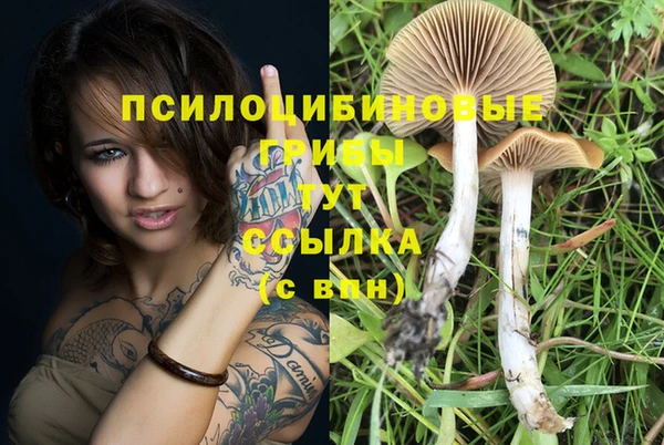 соль ск Волоколамск