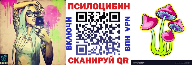Псилоцибиновые грибы Psilocybe  Купить где  Каменногорск 